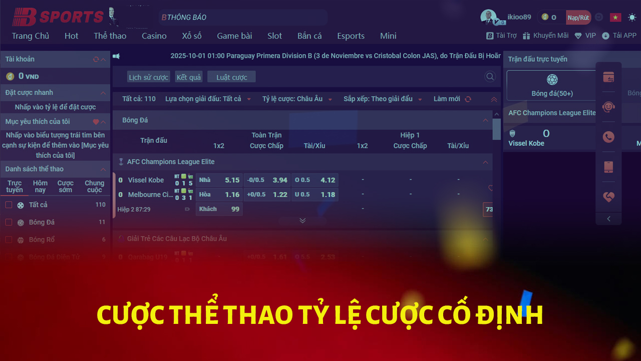 Đặt cược vào các môn thể thao và giải vô địch phổ biến nhất - đó là Bsports.
